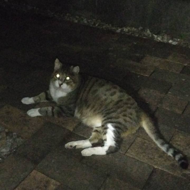 12ce9ba6 4b88 4c0e 92fc 1e82e608a4cd 1755989520362