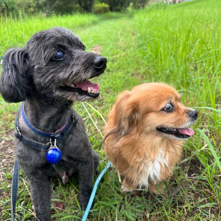 12cea2cb 55e2 4f76 97d6 18428ef0f47a 1694906270279