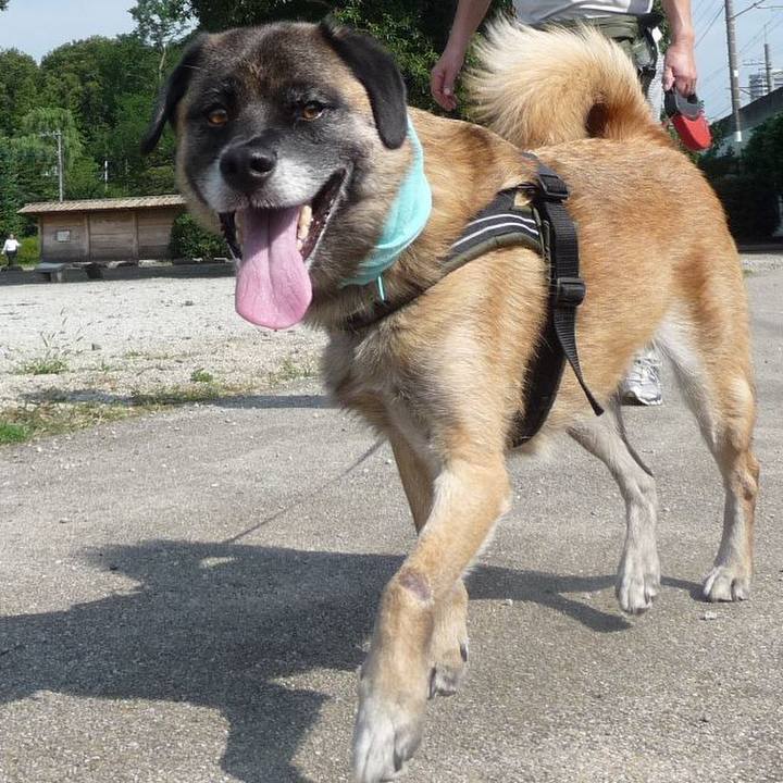 12ceb213 79b7 4935 b28d 65ded8646f5d 1578236119586