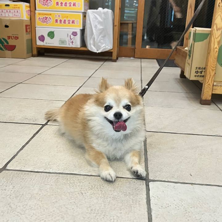 12cec1d6 fb5b 4272 b42f c6bc458965b3 1755181929747