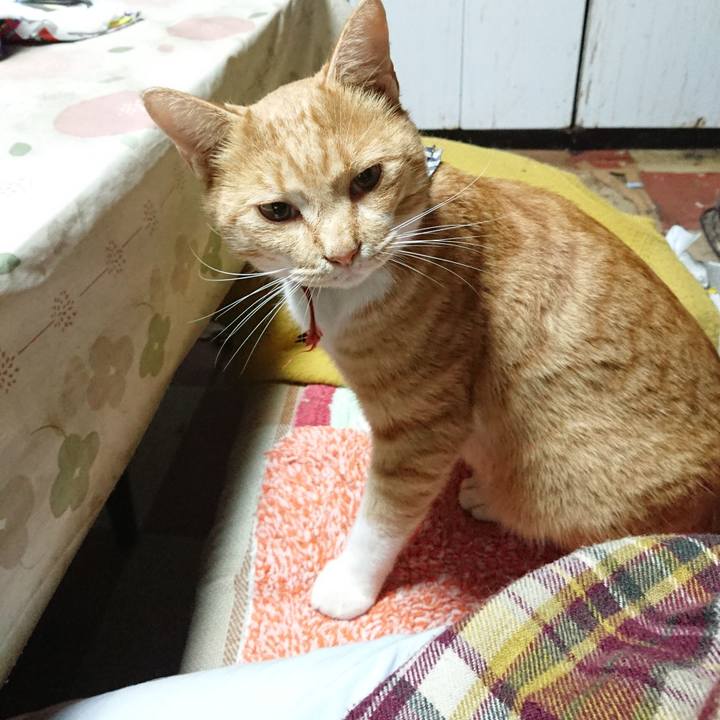 12cec43b b2bf 4059 9dda eae5c16bac14 1573598360073