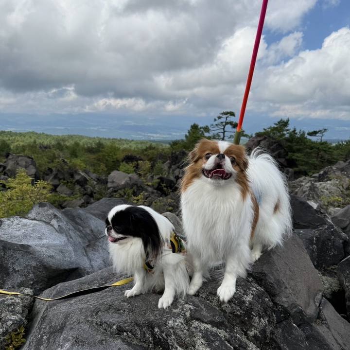 12cec9ff 7822 4db2 8333 e788bb1798ce 1726017502876