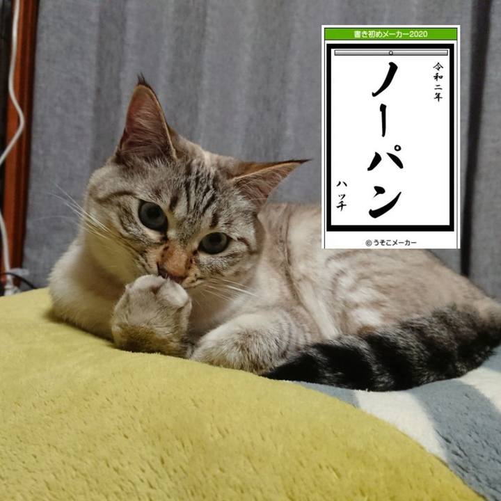 12ced4a7 418c 4be0 93d7 1c08141488dc 1577954339667