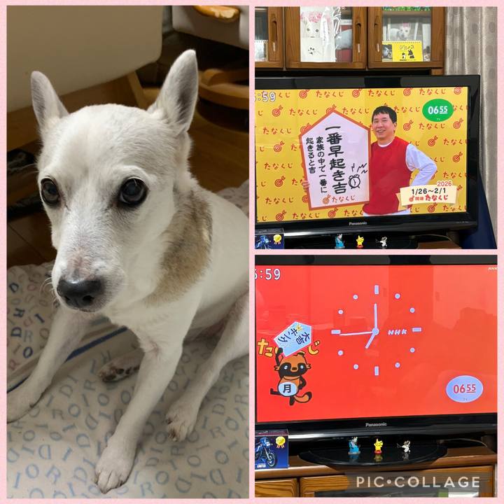 12cee1d5 0951 4b1a b134 7044d92f6c7f 1769378854803