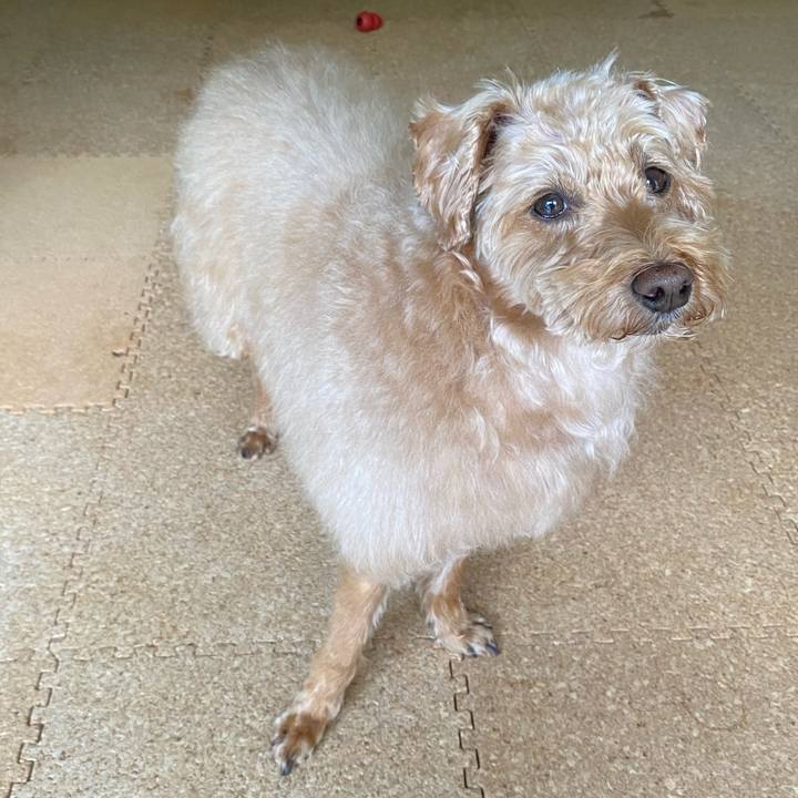 12cef968 3ee0 45f6 a245 21ccf159ea12 1653179817264