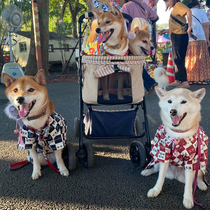 12cf5c54 cfa3 4384 9ea5 9278b20f885d 1724633935601