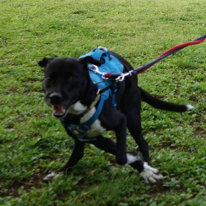 12cf9cd6 a8f7 4e8e abfc d7cbba108f05 1620261142230