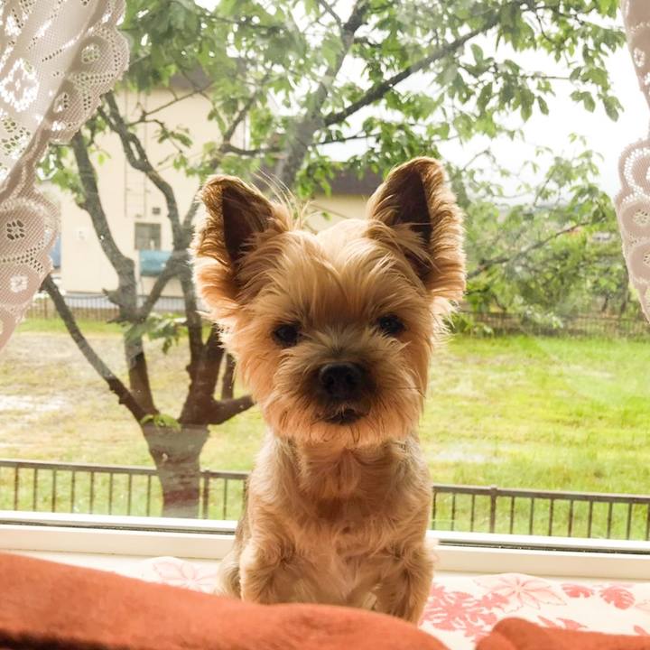 12cfac06 26a1 4dc8 bdbc 6d36a087076b 1593512519134