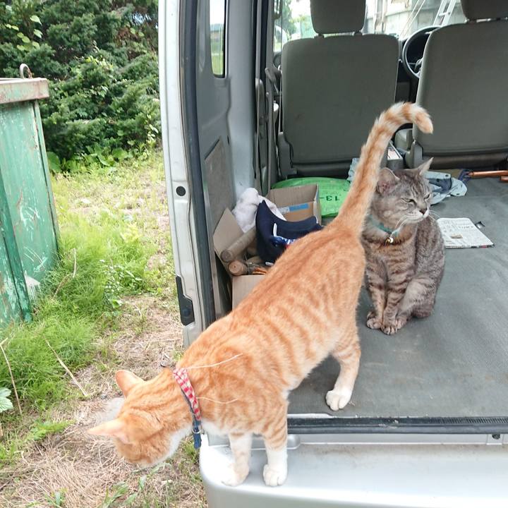 12cfe9a6 3d2a 4d77 84ca a1e86acd8516 1563268837445