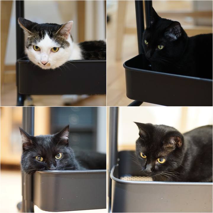 12cff17e 26f3 4cf6 bf45 42422a2949ba 1531058237944