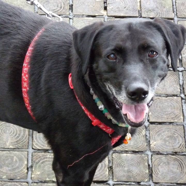 12cff317 ee8a 4eab 92fa 239733211aca 1535100579076