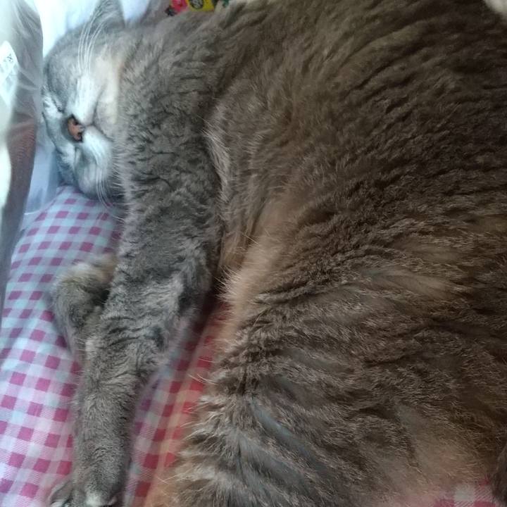 12d03201 a07f 4eb4 8d80 c807dc670ee4 1664079674277