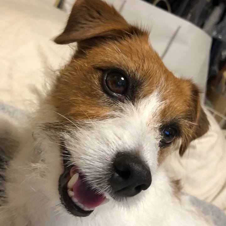 12d03c78 eb18 442d 87b0 fff6a57ddf2d 1529621087761