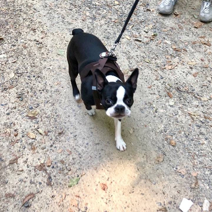 12d053e6 159f 4fed 912f 65e3dfb9b208 1532420196060