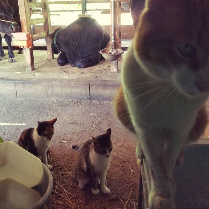 12d06a74 0bc0 49af bbeb ca19867a3bd5 1560032826128