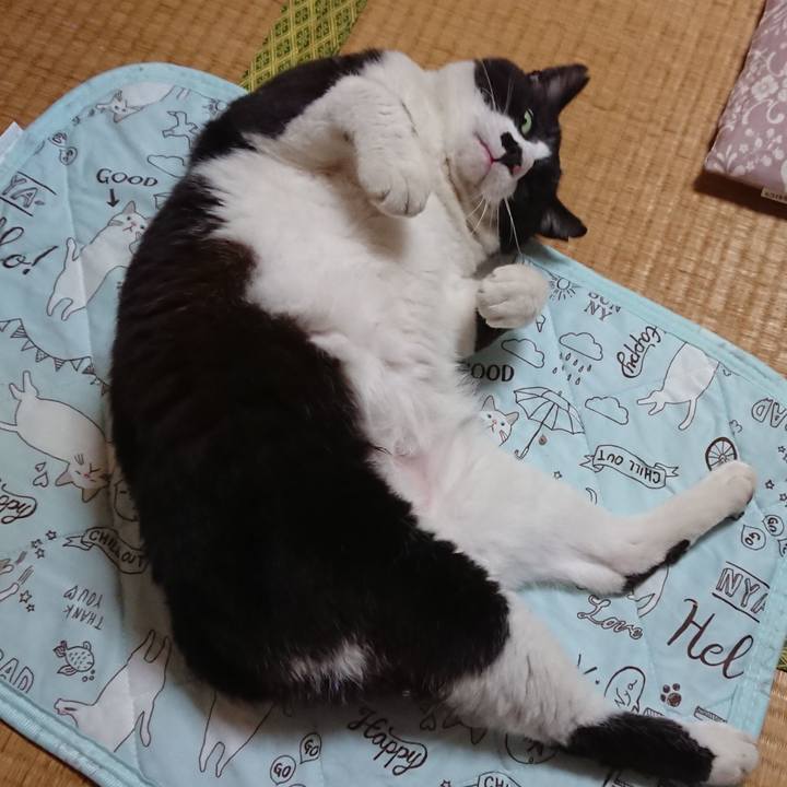 12d09f8f 6661 46bf a857 b723aa33370e 1591527611451