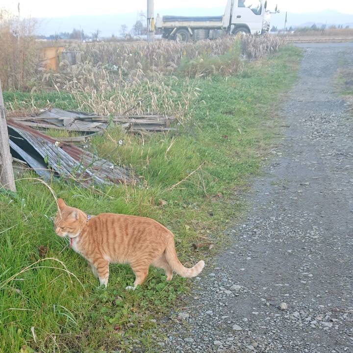 12d0c7db 3f11 4085 9562 e76ac5d915be 1574727021146