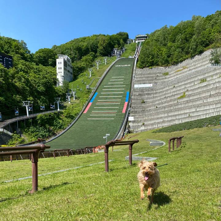 12d0db47 7db1 444f 96c7 58416f5a1d0c 1622946426605