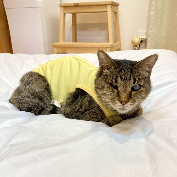 12d0ea01 dbbe 4e57 bcfb a013e8c22881 1682937421865