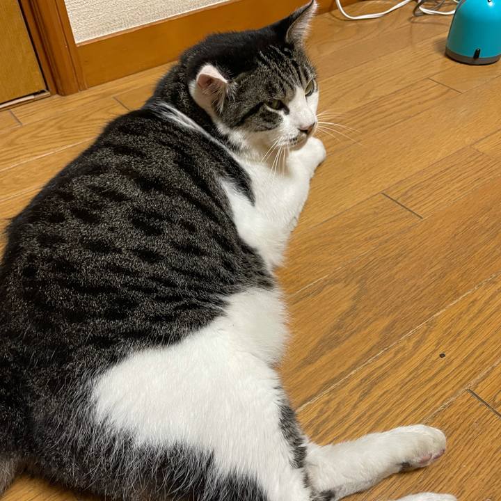 12d10310 9f08 4acc 9c85 1b5ebc869753 1632439168197