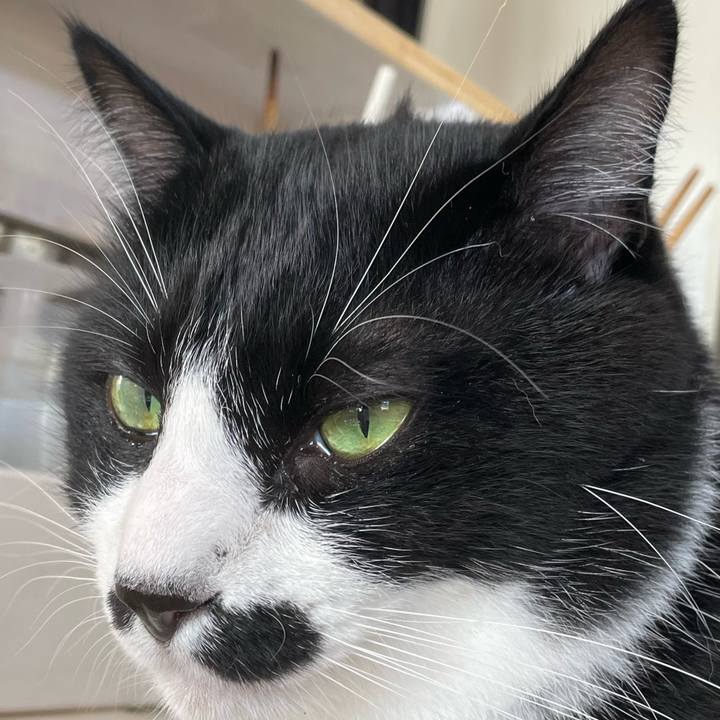 12d15e67 2807 46fb 9ec4 c6e43c3c44df 1662764409849