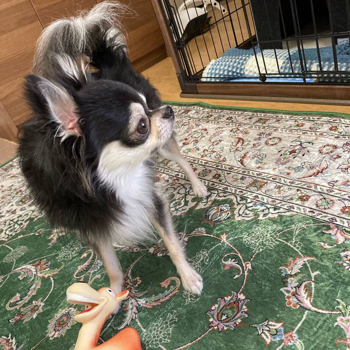 12d1b6df 1a8a 4d92 a288 73af59e81821 1665322939513