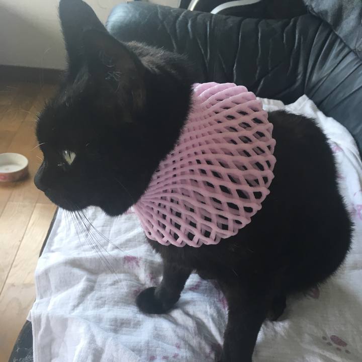 12d1d043 584a 41c8 be02 64a98ca62012 1534743402714