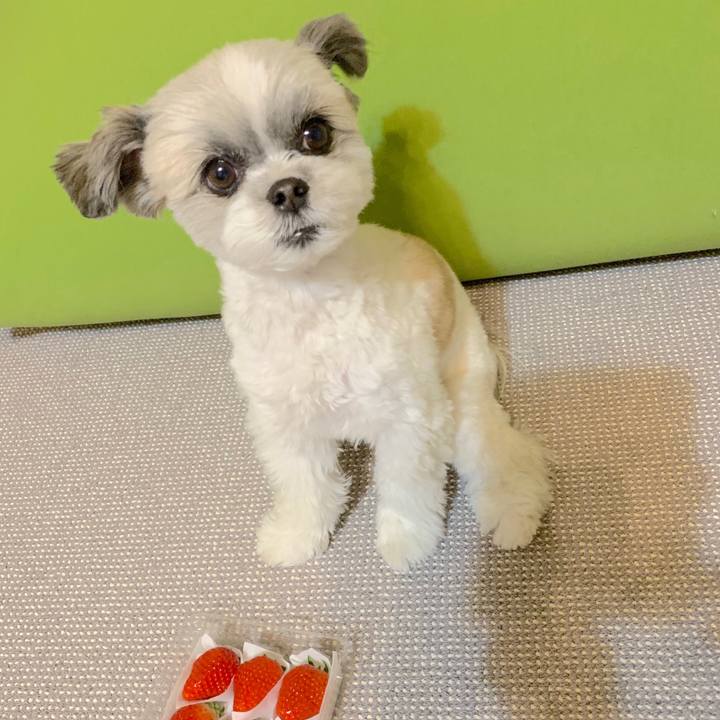 12d213b2 1818 48b0 bb75 278d7c31e481 1548600355957