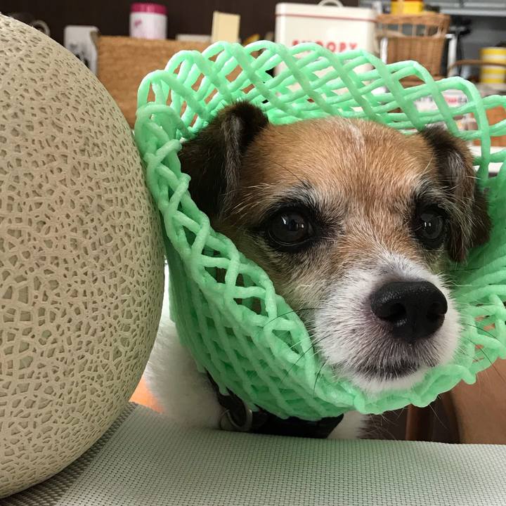 12d21508 207f 486b a4f9 2a36a487b330 1565759719991