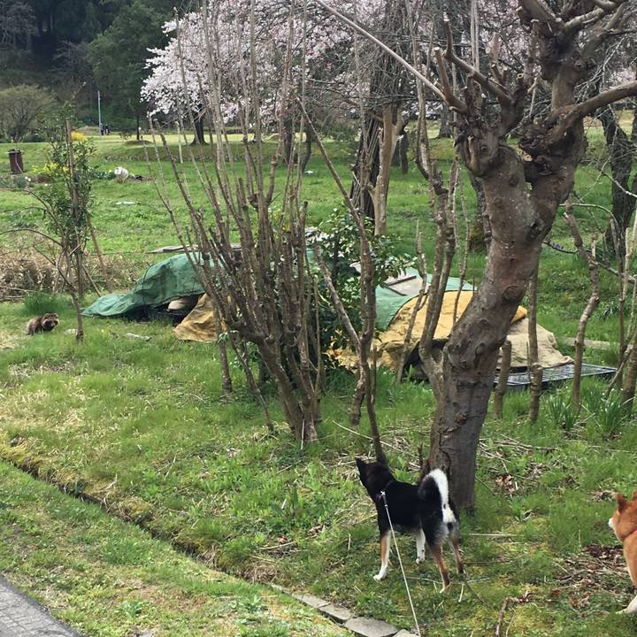 12d221ae 343d 4eea a0a1 56e48acc9506 1586063206603