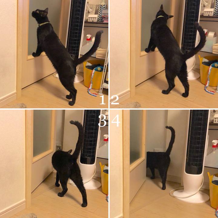 12d2245c f0b6 4de9 a106 39fc73cc21bb 1529501205402