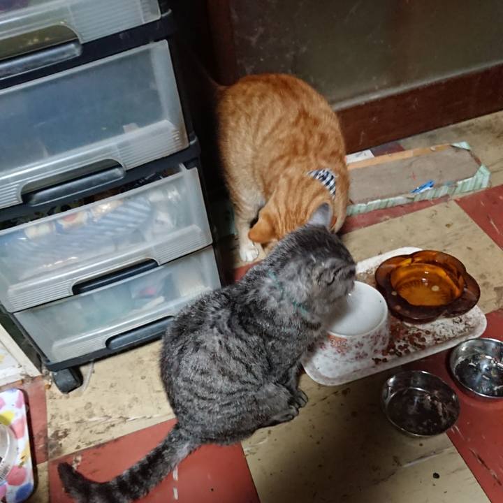 12d22c39 47a4 4c88 a97e b5e743525f04 1571860216938