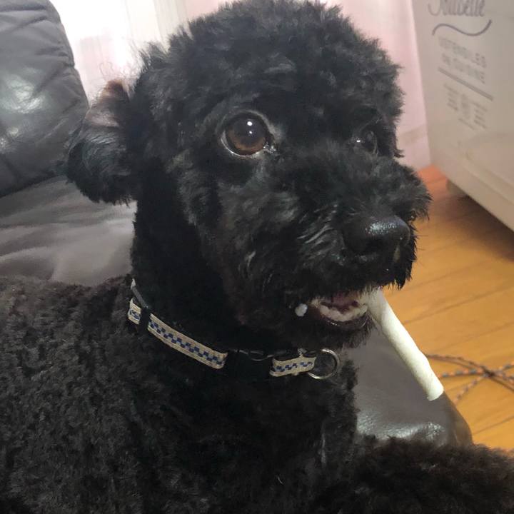 12d22d6d 6cf1 4d51 a5c6 4fc3ba809155 1538956971463