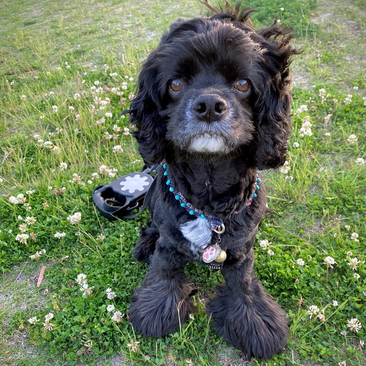 12d256e6 37e0 4729 bdd2 315255c13c32 1620562871218