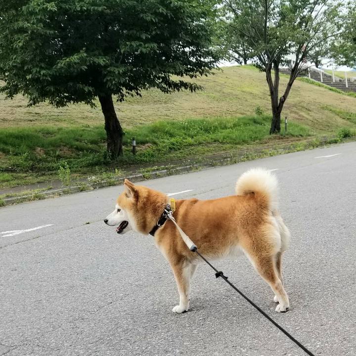 12d299f4 bc00 4ab4 99a1 a78534b46aba 1624003503991