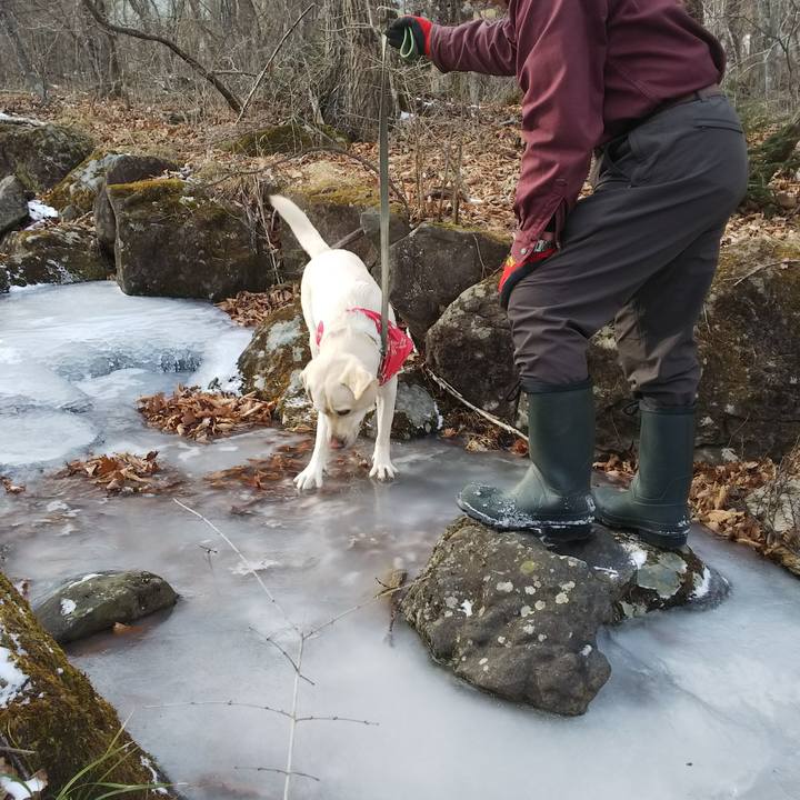 12d2c62c 743a 4ad0 b689 57c9d9d1f6b9 1546755608052