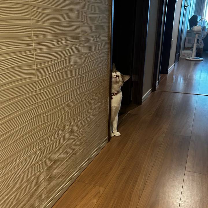 12d2da72 2c34 40cd b651 994a09b2571e 1757818728221