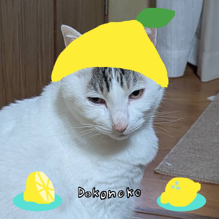 12d2ecca f7f1 4717 a6c7 40c9ba477d6d 1741099248960