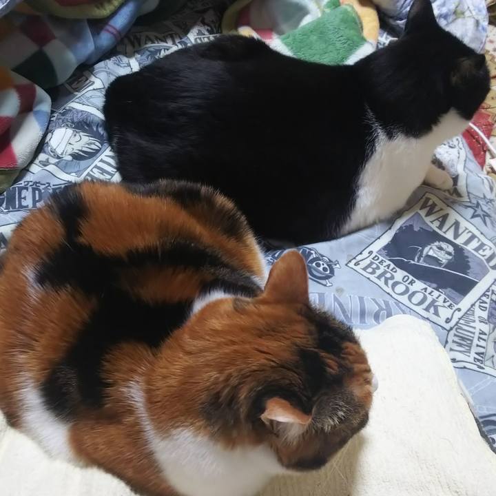 12d2f5e7 2c06 4431 96d6 a4df3933a8fd 1578787945697