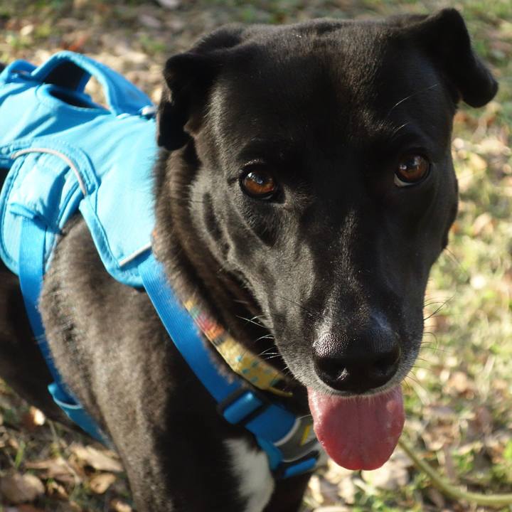 12d30ac3 ab71 471e 8c1c a5096acbd2fa 1603844703222