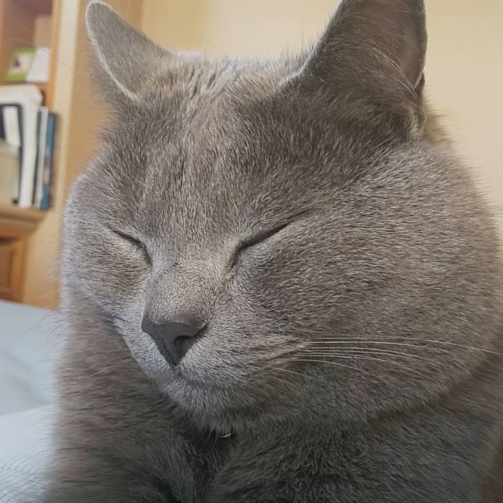 12d30c36 aad4 403a 90c7 f5289a873f7c 1588926558322