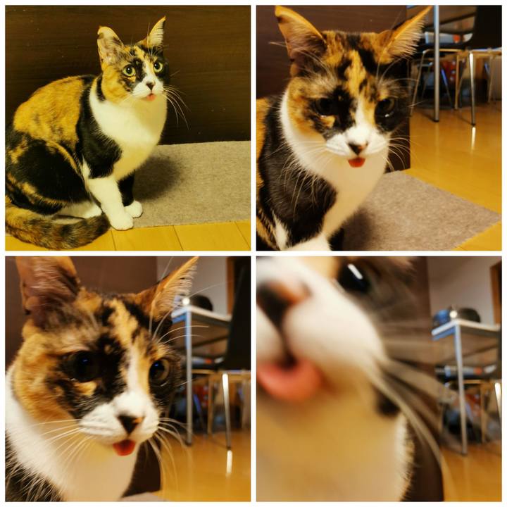 12d32099 8167 48f9 9c43 d3d464404c06 1642255355511