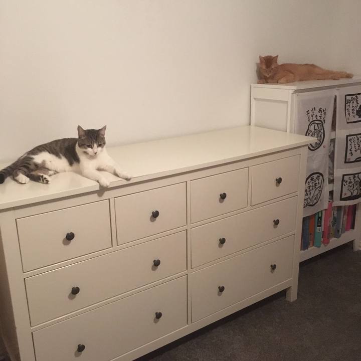 12d3276a 6122 4fbe a2bf fbd2bf18fe9a 1660173392762