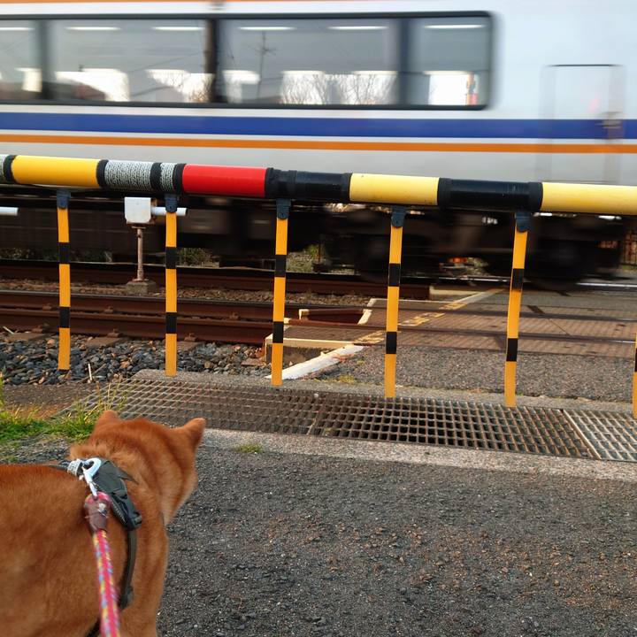 12d32d0a dec8 44ab 9ca9 9b821dd8b013 1768691465073