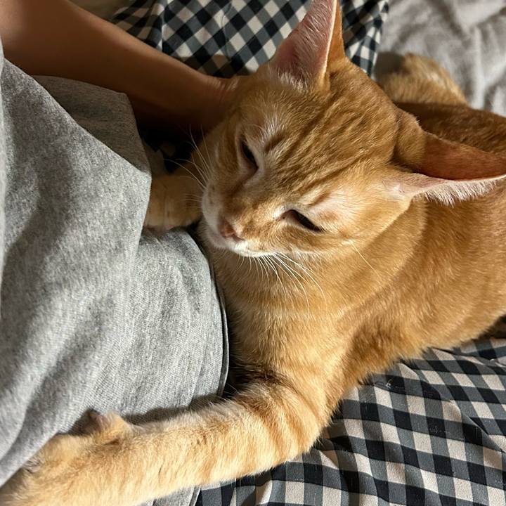 12d3453a 3a62 445b 96f0 961fe8d413dc 1671571220498