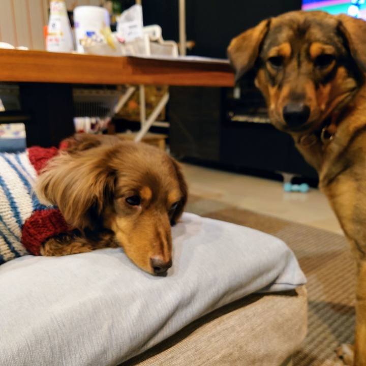 12d35c27 68cd 43d4 9d39 658e87ba5c3e 1710760745064