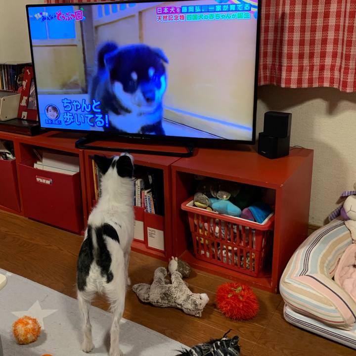 12d3ba35 262c 4fe8 bcd7 4ceb64310319 1603539884683