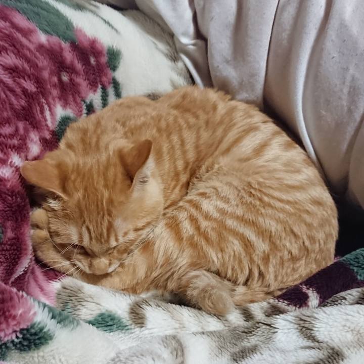 12d42f8d 107c 4ad9 935a e154100ccf1e 1637150069685