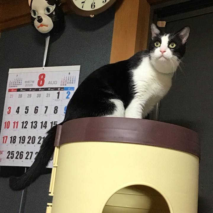 12d44d29 89ff 43f8 838a 3008c449bcb2 1755517179565