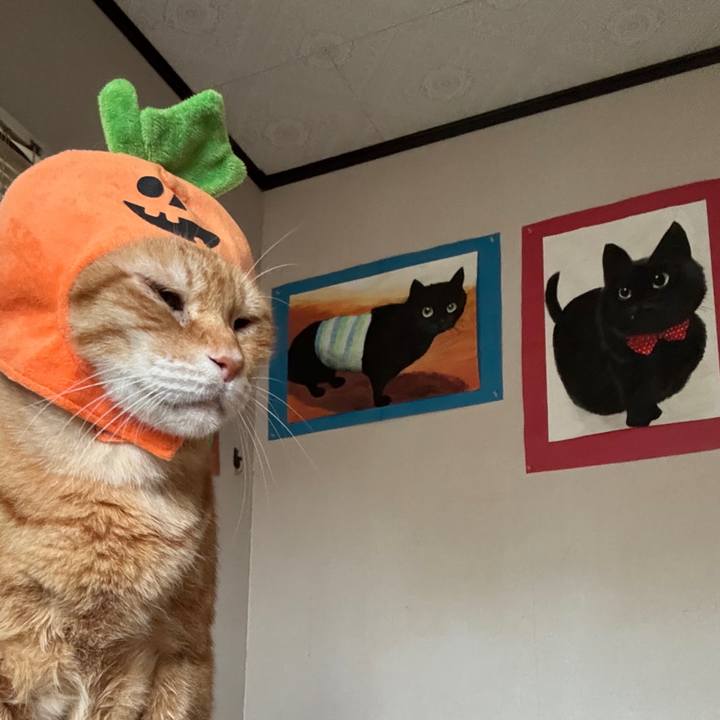 12d46a55 7752 4a84 8317 a50919837dca 1760167148116